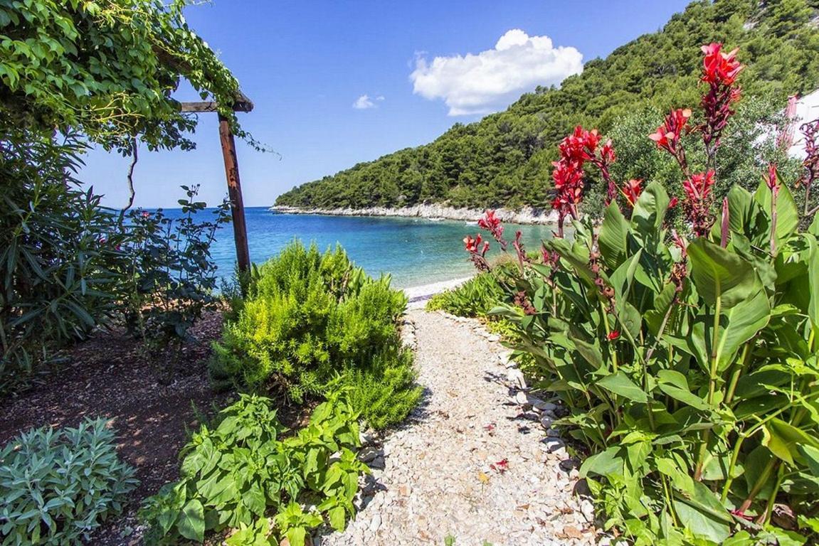 Seaside Secluded Apartments Cove Skozanje, Hvar - 5713 Gdinj Zewnętrze zdjęcie